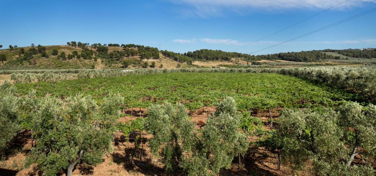 Farm stay Posta Pastorella